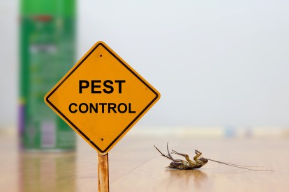 Pest Contol in Bexleyheath, Upton, DA6. Call Now 020 8166 9746