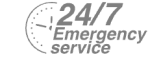 24/7 Emergency Service Pest Control in Bexleyheath, Upton, DA6. Call Now! 020 8166 9746